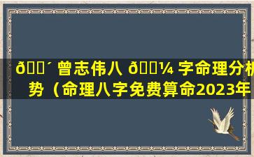 🐴 曾志伟八 🌼 字命理分析运势（命理八字免费算命2023年运势）